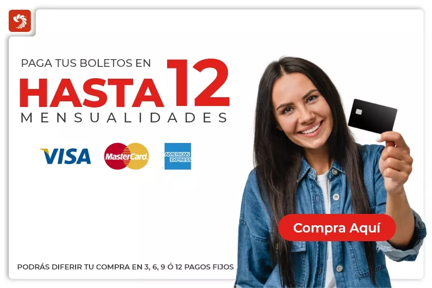 Paga hasta a 12 mensualidades