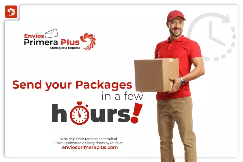 Send packages in a few hours!