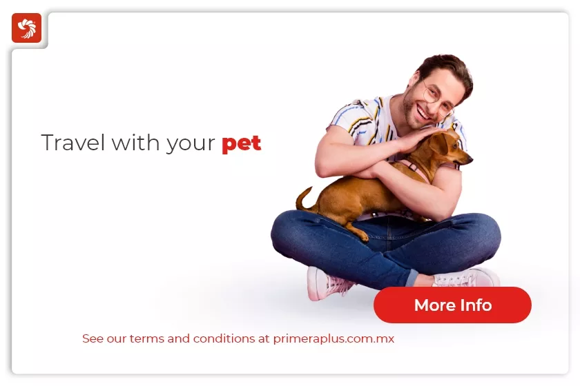 Travel with your pet