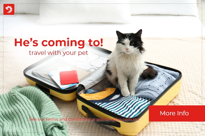 Don't leave it at home