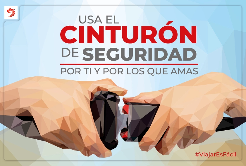 Ponte SIEMPRE el cinturón