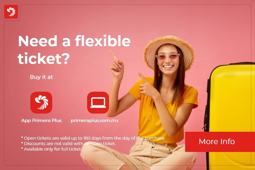 Travel whenever you want